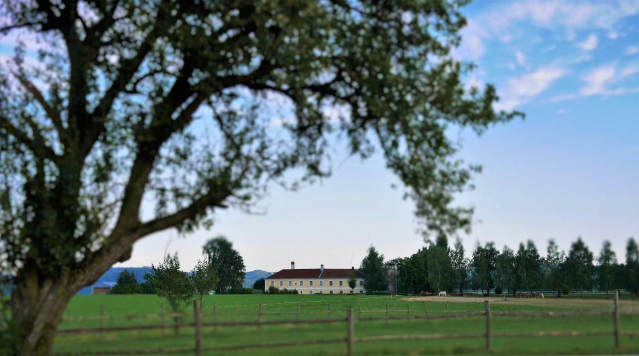 Reiterbauernhof Schoenlehenhof Mank 外观 照片