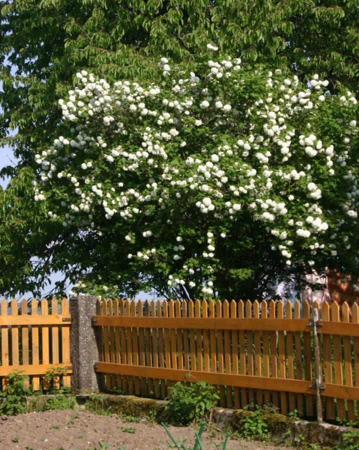Reiterbauernhof Schoenlehenhof Mank 外观 照片