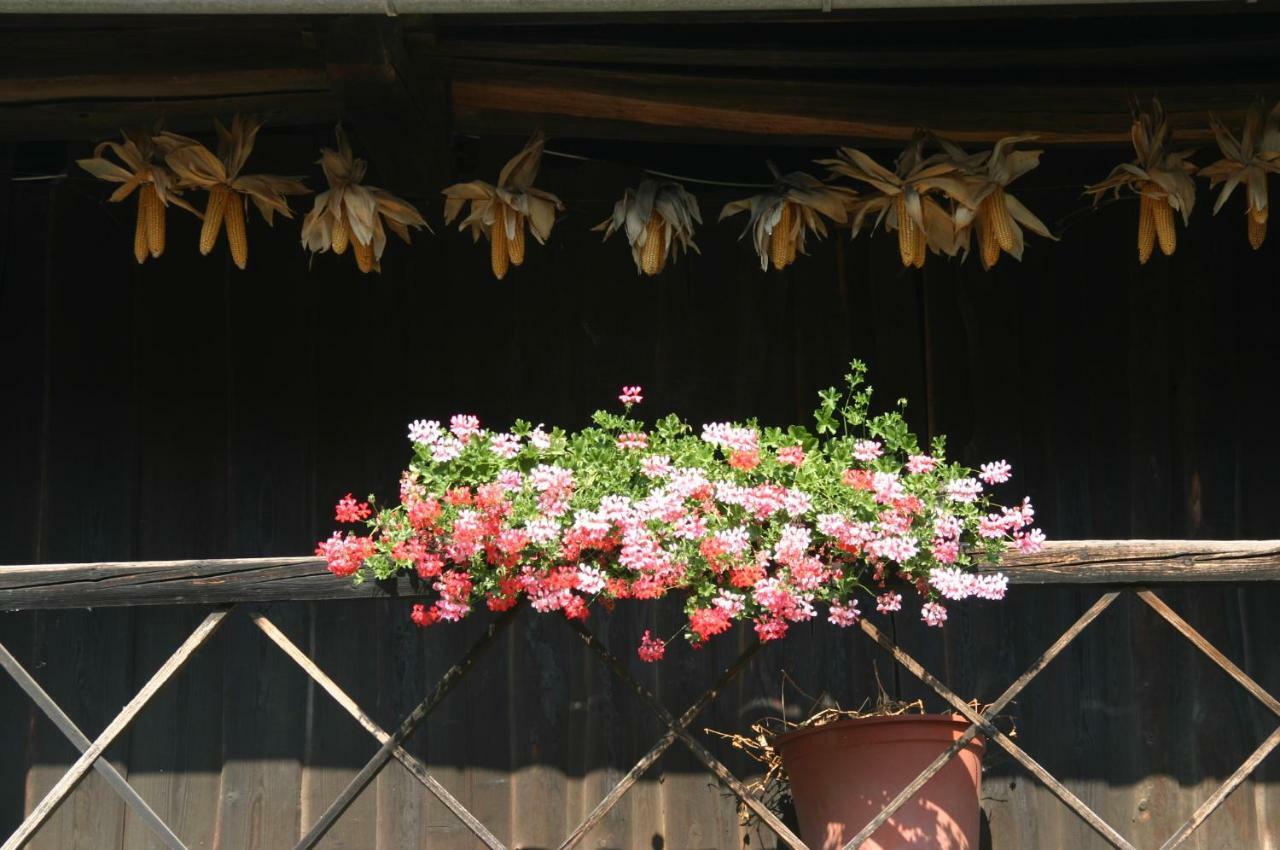 Reiterbauernhof Schoenlehenhof Mank 外观 照片
