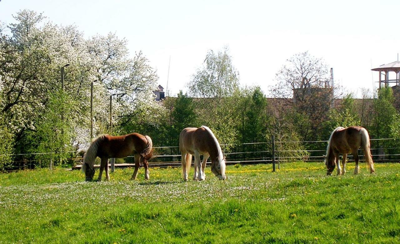 Reiterbauernhof Schoenlehenhof Mank 外观 照片